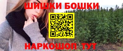 гидра Бердск