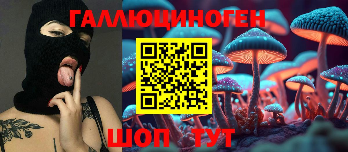 Галлюциногенные грибы Psilocybe Кириши