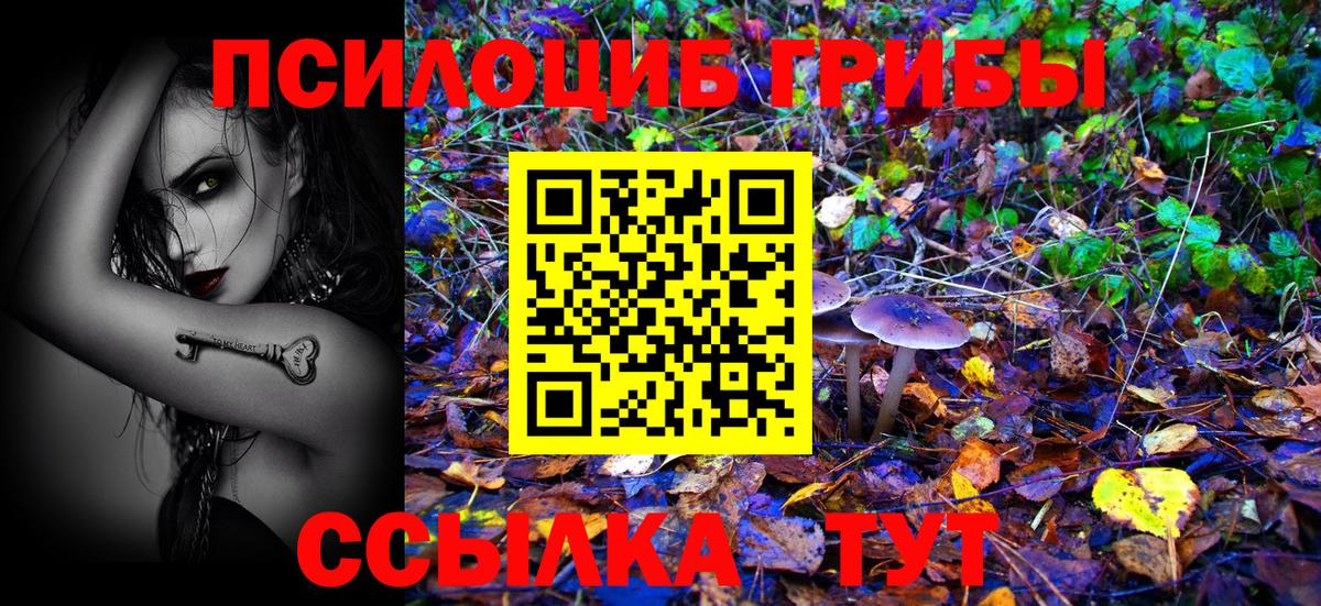 Кириши  Псилоцибиновые грибы ЛСД  Вход с VPN 