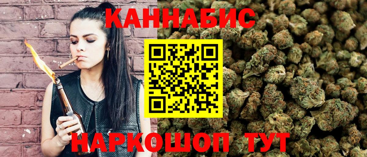 Бошки Шишки план Кириши