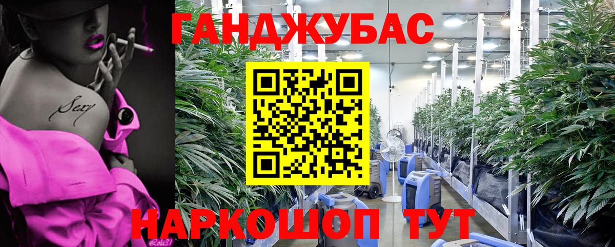 Шишки марихуана THC 21%  МАРИХУАНА LSD WEED  Вход с VPN  Кириши  Шишки марихуана Ganja  Шишки марихуана гибрид 